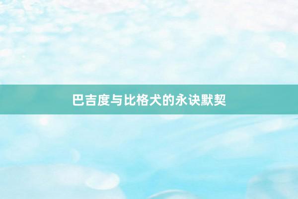 巴吉度与比格犬的永诀默契
